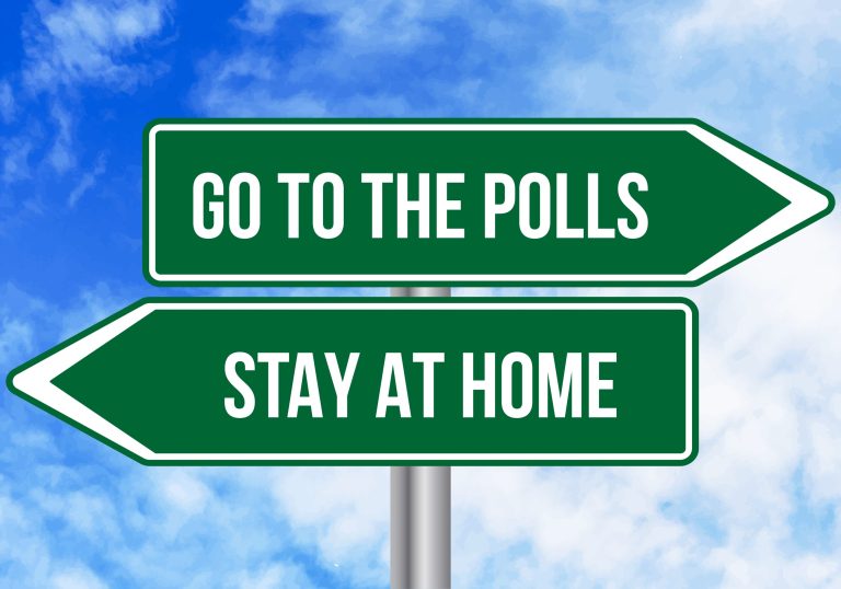 Go,To,The,Polls,Or,Stay,At,Home,Road,Sign